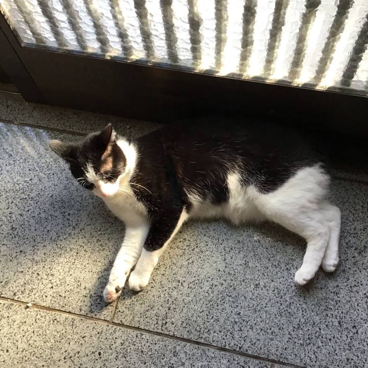 7cdcbd31 9d61 43fe aa1e cddf47e3fe88 1706346182595