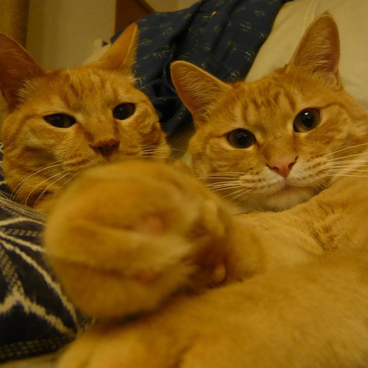 7cdd4425 d71c 4b4c 9a86 2cd9ddbb4b28 1714627278584