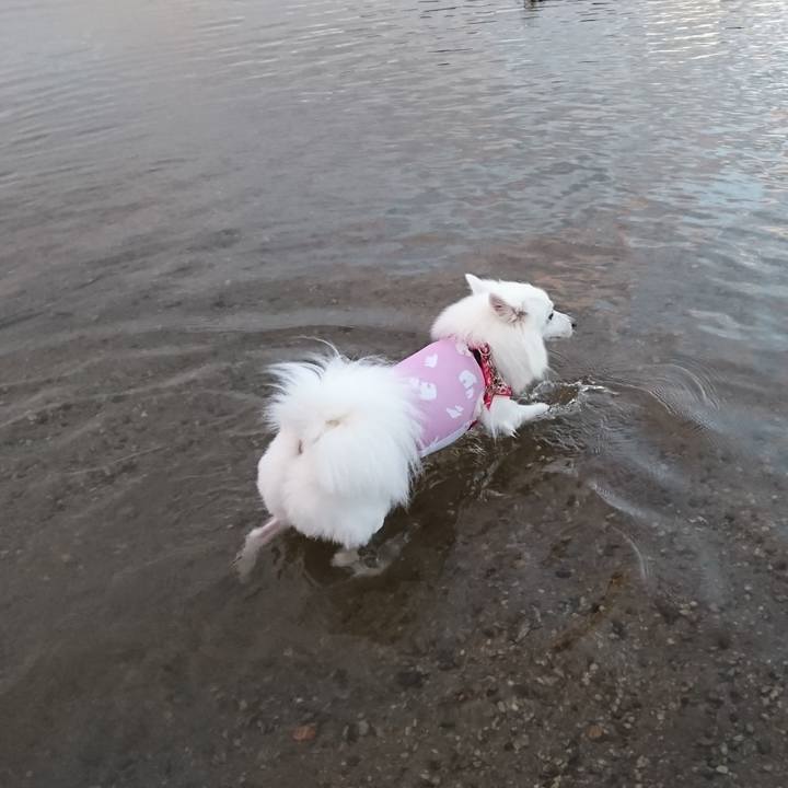 7cdd5e52 53f1 4a77 8f13 b1bf9c93a320 1567936644856