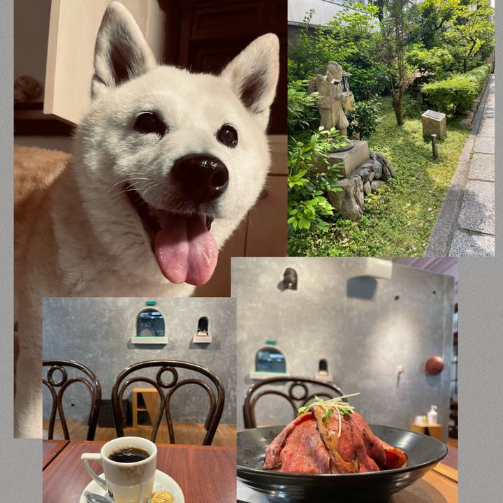 7cdd64ac f07f 4241 b03a c76c1252b597 1656048220272