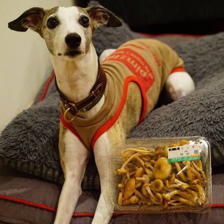 7cdd8a8e 1601 44f6 bac9 860787e93007 1510052767803