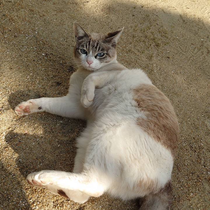 7cdda2c7 9ffb 4951 bfa9 c2e749036722 1649405073827