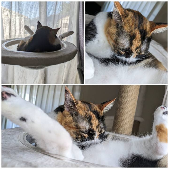 7cddb01f 8548 4b56 a002 ddbba7e26ebd 1693282712446