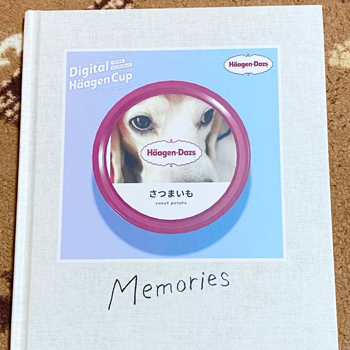 7cdde878 7f25 4fdb af71 6d194c51b5e2 1631770728652