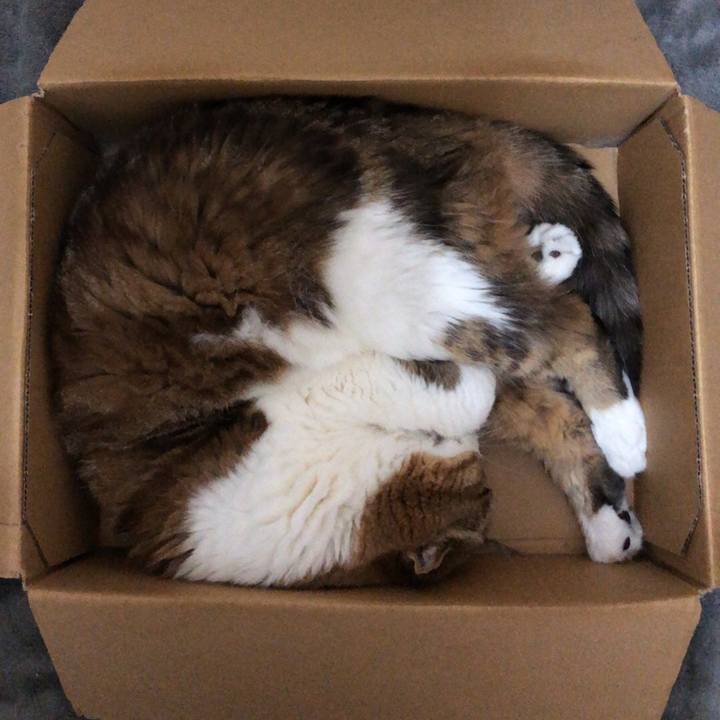 7cde17a5 c379 4411 8feb a25248203905 1538292958278