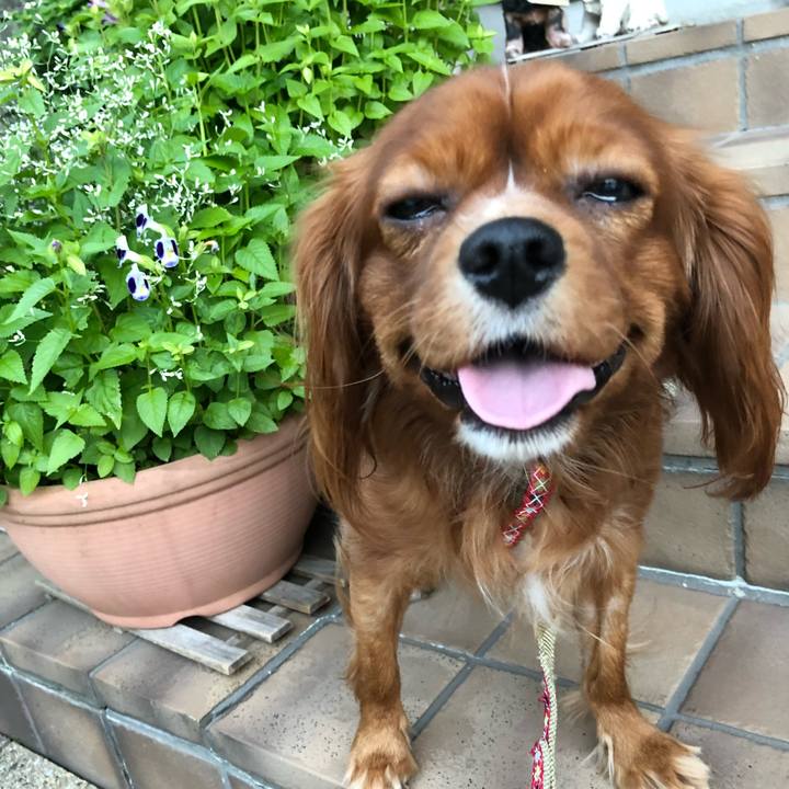 7cde203a 57e5 4e9f b9bd 702719122e5f 1534948507334