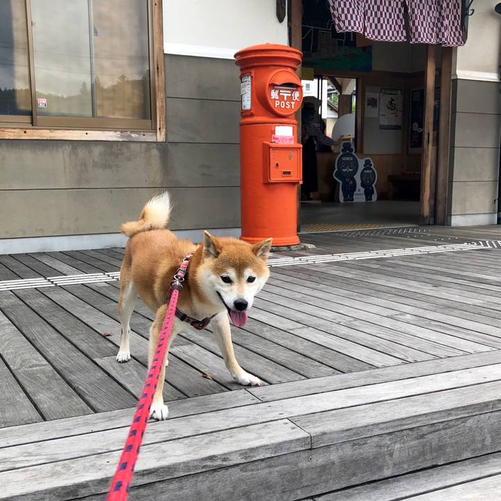 7cde353a bda2 4c30 a58e c61101646ca2 1562229101014