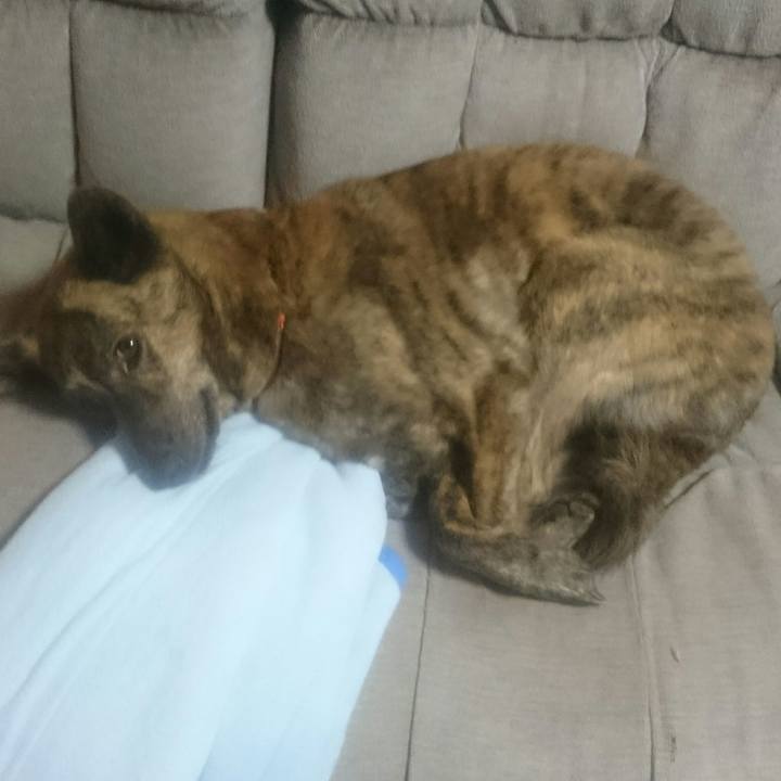 7cde5424 ae09 4230 9368 7c09fe99f84b 1523016734759