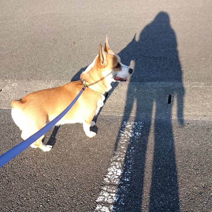 7cde7134 dd8f 45a7 83c7 a4686f05f921 1574568334323