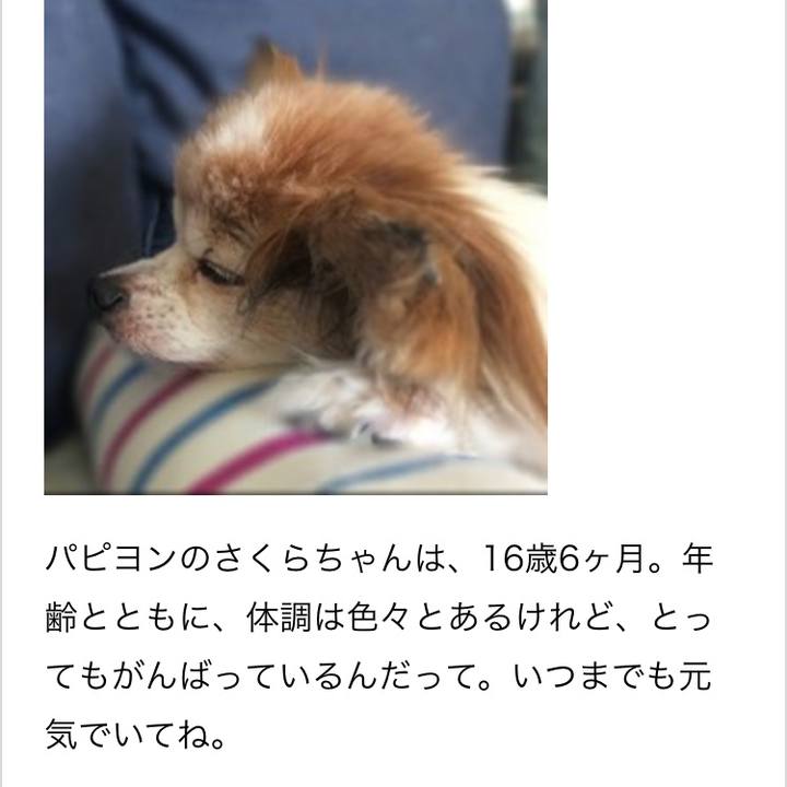 7cde9b88 18c0 435a b17a 58d31683f779 1513138692955