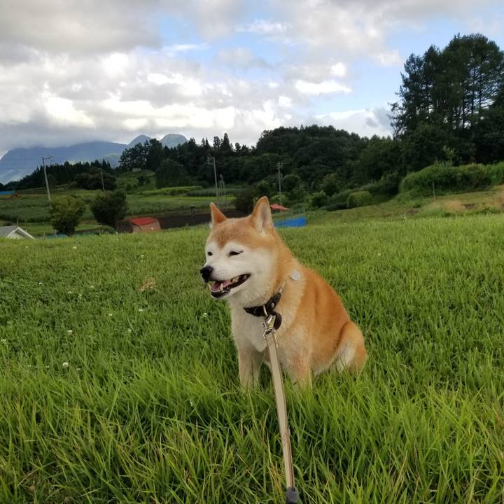 7cdead2a 6cfb 4f06 af09 2ae517545180 1660809699438