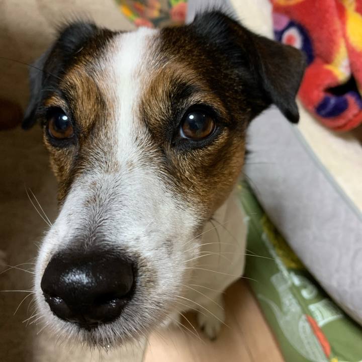 7cded3a7 960c 4d81 b37e 8ca3b879245a 1577268989466