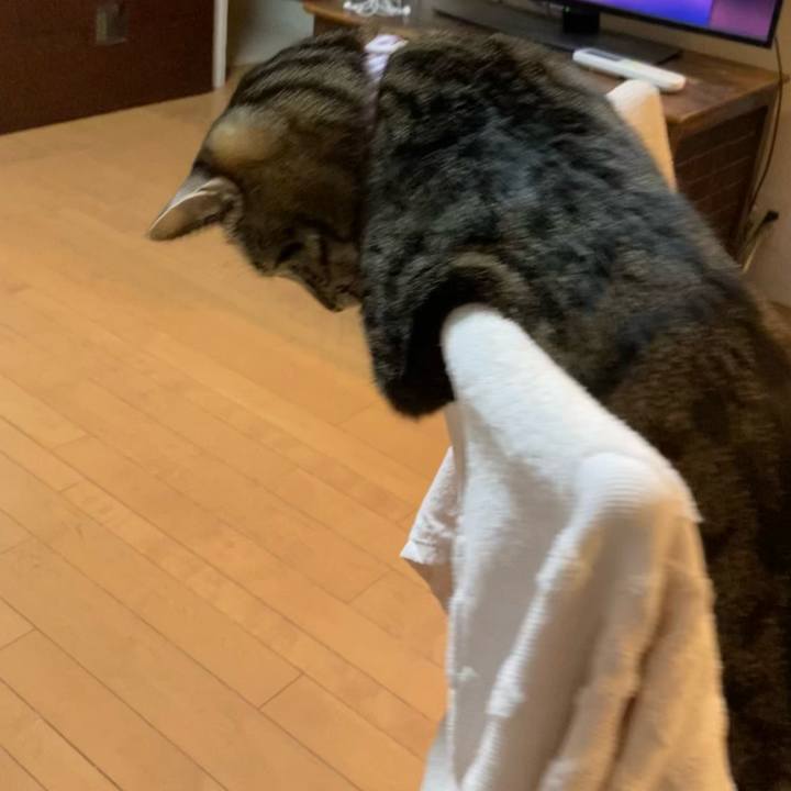 7cdef454 7402 49f1 b490 7c72bb979b1a 1609856856996