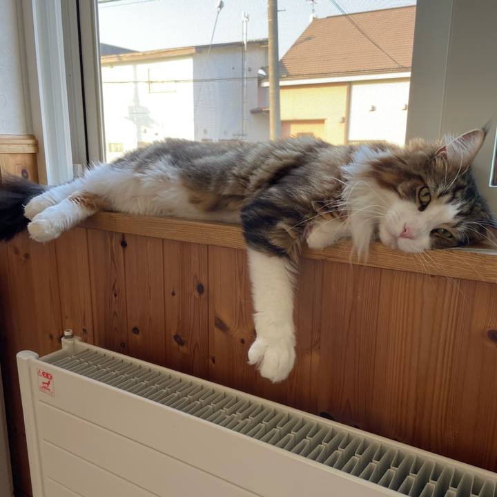 7cdf1e4f b9dd 478a 811a 5e8bd6ebf46b 1664666147371