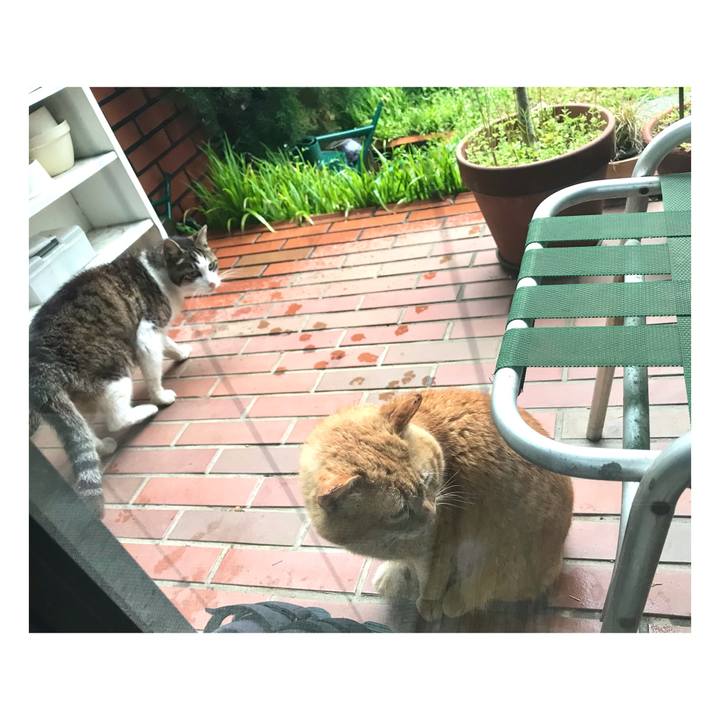 7cdf2055 75df 4a95 a29f e2bf744cca14 1648966890757