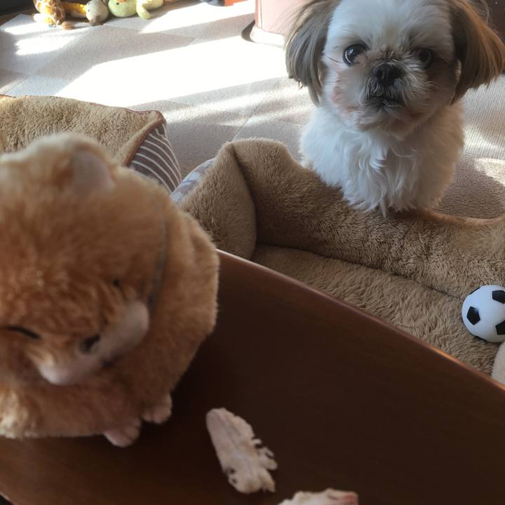 7cdf43db 7b7c 41a4 8876 cfa8207bf3f6 1515631111134