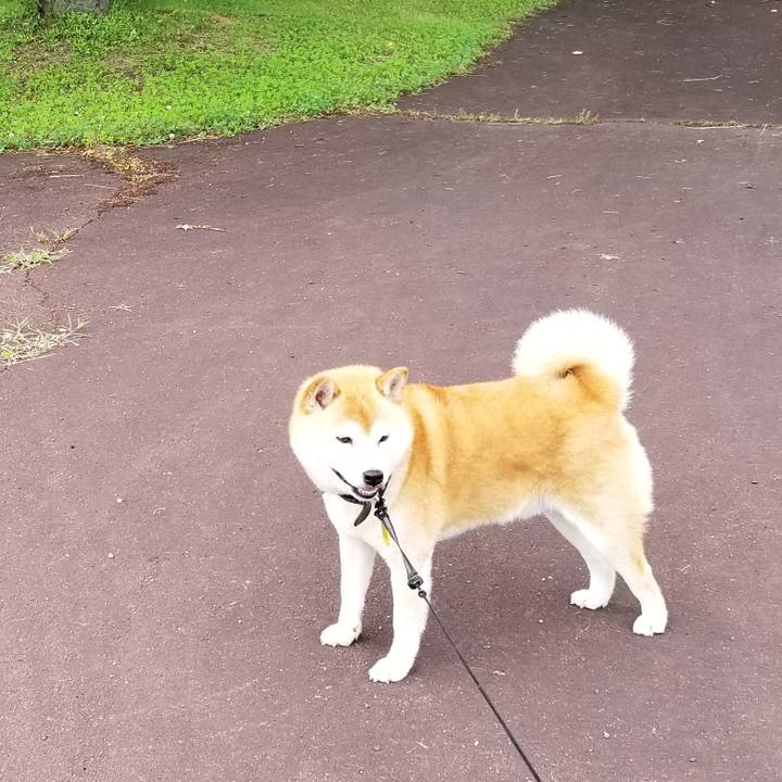 7cdf7950 245a 4d63 bef6 7e429067198e 1593497227071