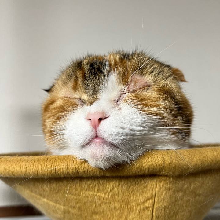 7cdf7a75 6c44 4d86 9e70 39b4b863e9f9 1704188943971