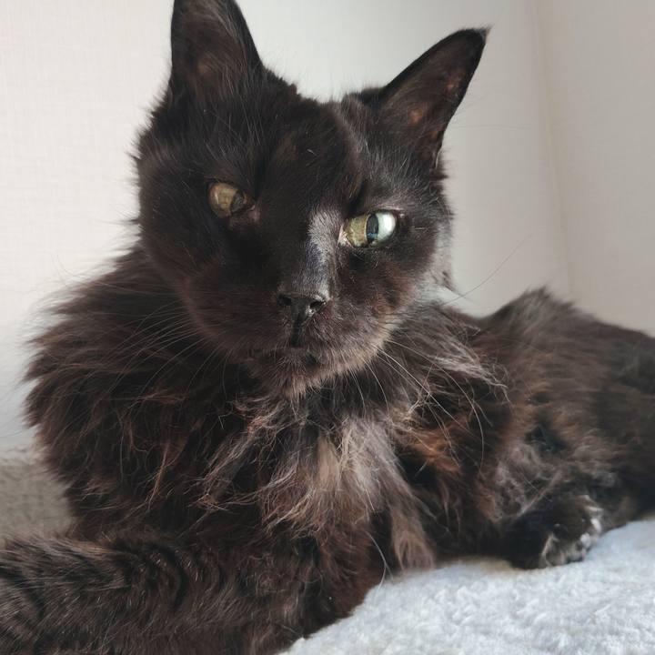 7cdf7e24 d9ae 4b4e 9fa2 b6768366cb8e 1775179290326