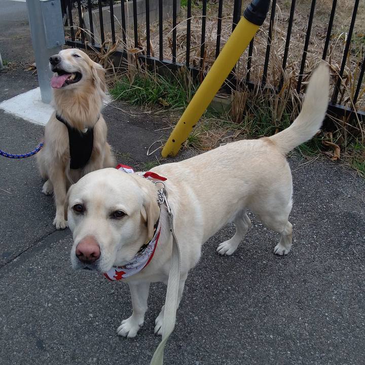 7cdf8dc2 44a3 4b1c 9364 2918c26ac0b2 1613266532701