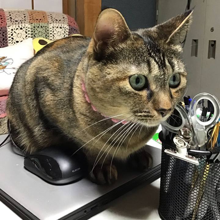 7cdf8fed 6446 44cb 9790 32093c00c516 1732264282642