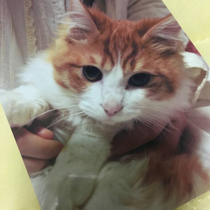 7cdfc04b 192c 498b b743 14093ee1b802 1560788714105