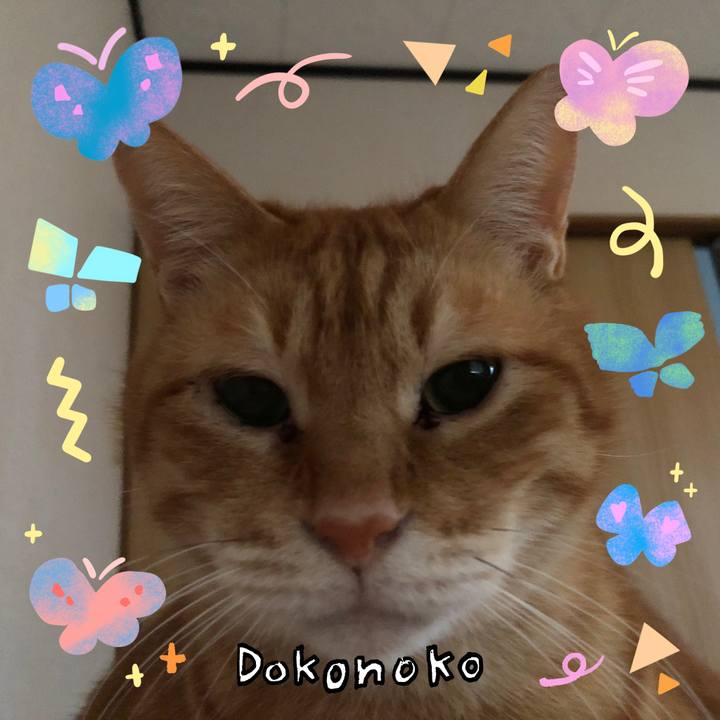 7ce0165c 01e6 44f9 86ab 19ed8ed8685f 1711114858427