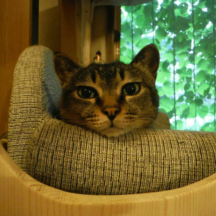 7ce02255 aae0 4344 a63e 95710292d649 1536554426650