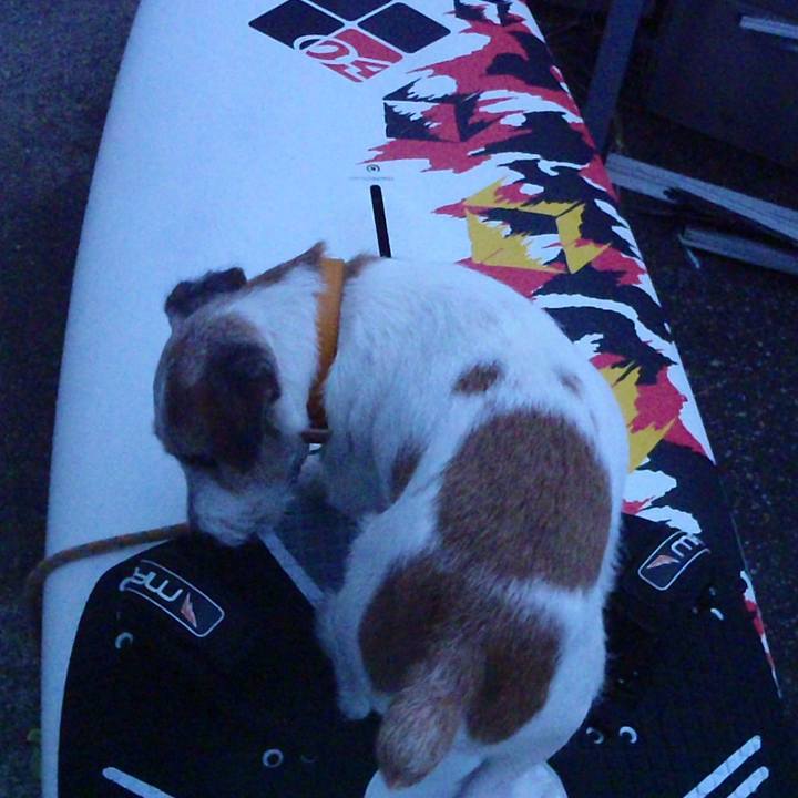 7ce02f8b ded5 4a0e 928c 2087d9d3c60b 1538129308306