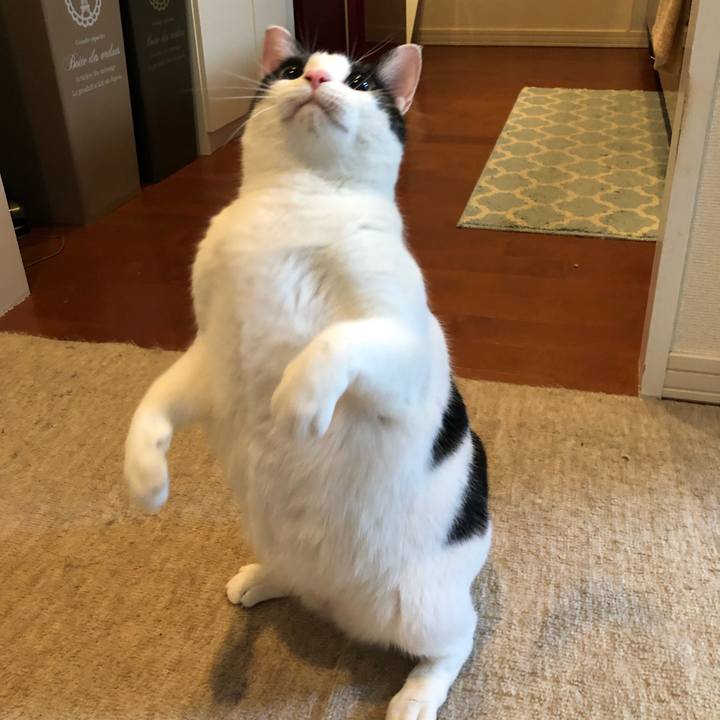 7ce0416a ab73 46ab 9cbe cb277c9c271f 1551607464676