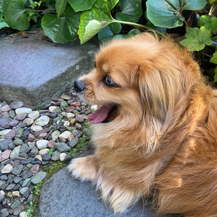 7ce056f1 3d9a 485d be45 28c7822a1c86 1626563739474