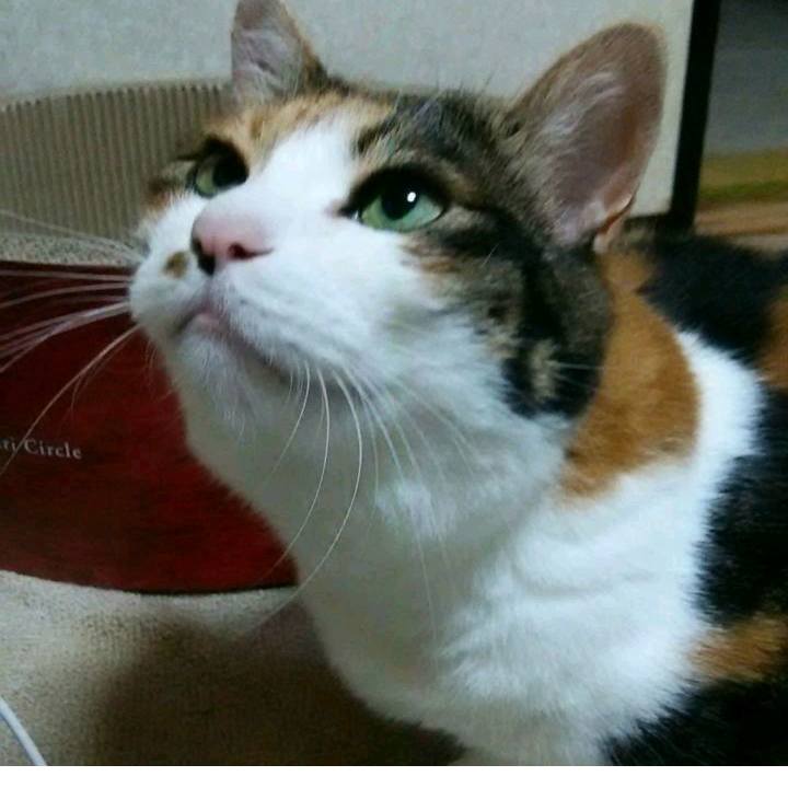 7ce06aa5 bfa7 46d7 a9df 94ce37436fc3 1528190561551