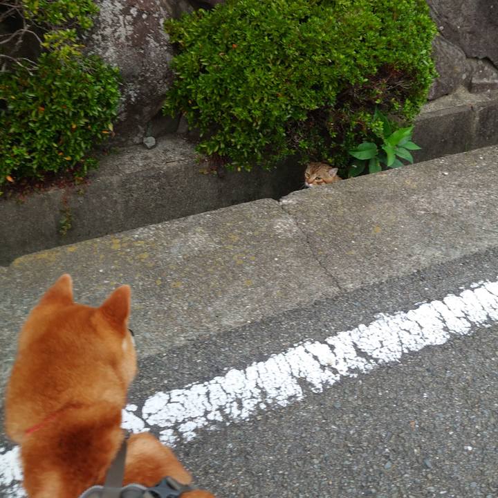 7ce0b9d5 259e 49b1 b163 25e100135bac 1758151899581