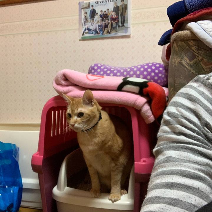 7ce0e88b b503 4548 bede 3088f5b3bdbf 1584045589996