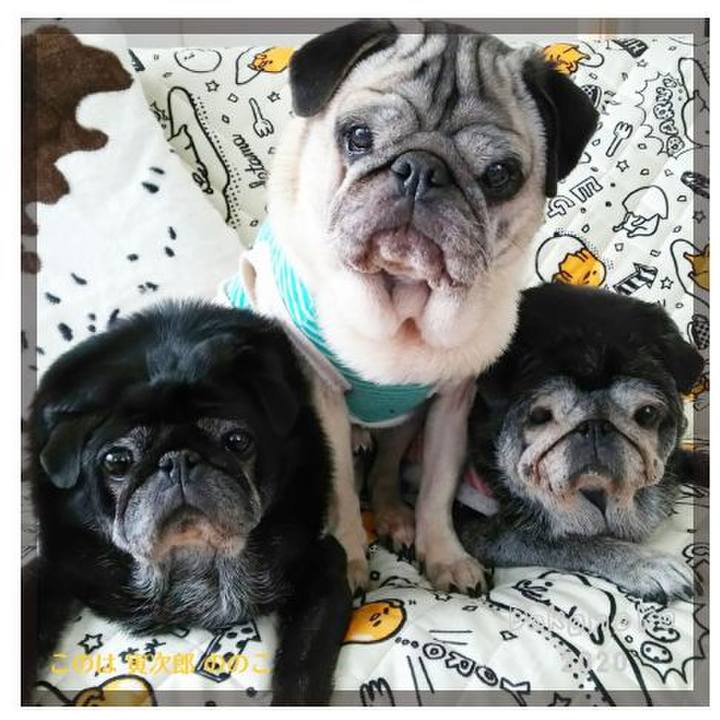 7ce10135 c548 47d2 93e5 770f3aa39d63 1583853788897