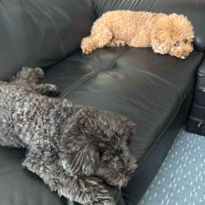 7ce17765 610b 4080 8cce 90cdc72b6732 1753758408744