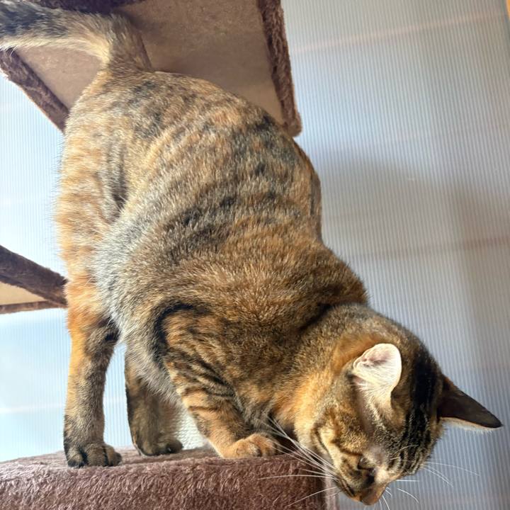 7ce192f3 00f7 4fd0 96d5 852f86929573 1762651864141