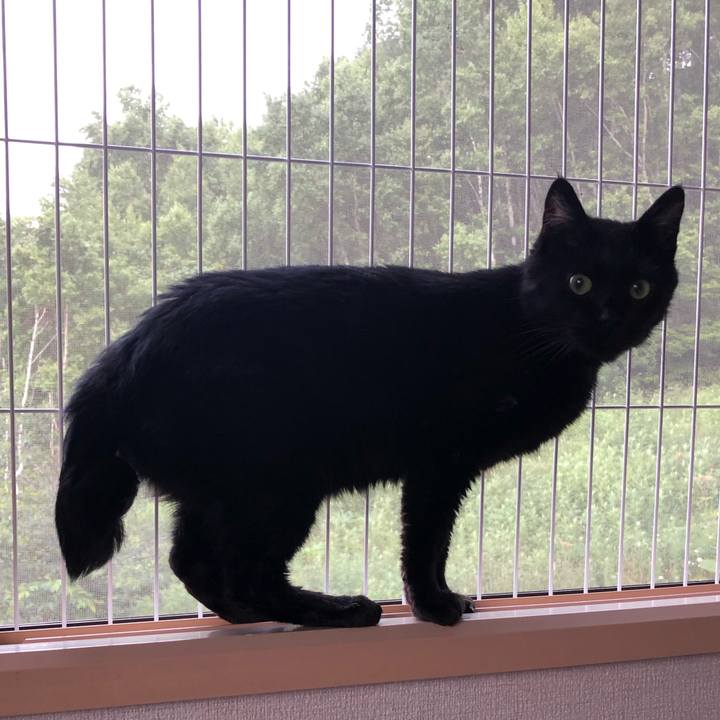 7ce1ae5c b41a 4382 9653 6d471e541d9d 1562321688151