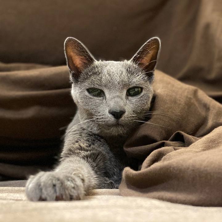 7ce1bf20 8816 4755 b248 8d02e6f6e35d 1584091941869