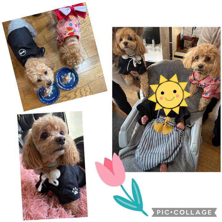 7ce1e6ab 5fbc 4307 a5bb ae1492f6ad8c 1772471205144