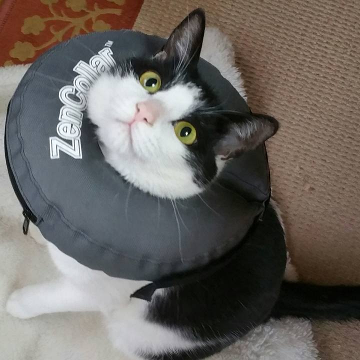 7ce2337b 92d3 48ac bc7e 2fec3ffbdc7c 1552434345068