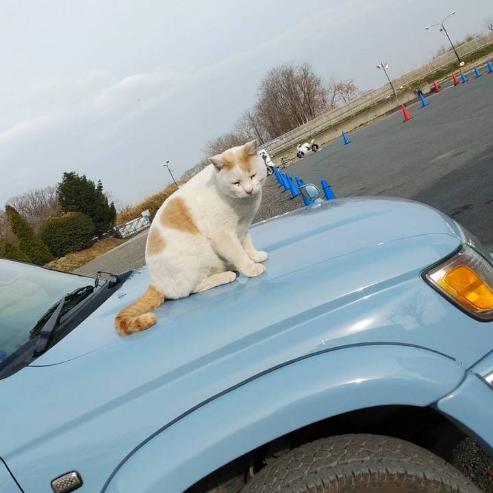 7ce2555c 5bf1 405f a8a6 c61e6634835b 1614910356392