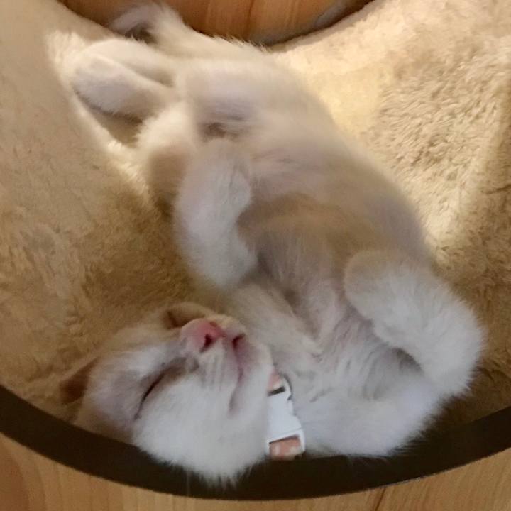 7ce255e6 8914 4acb 89b7 92d69a883f24 1565614651850