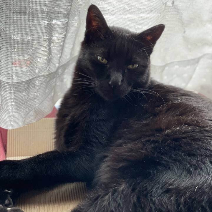 7ce256a8 0e3c 450a 8f3e b34ec81e41b4 1621386895196