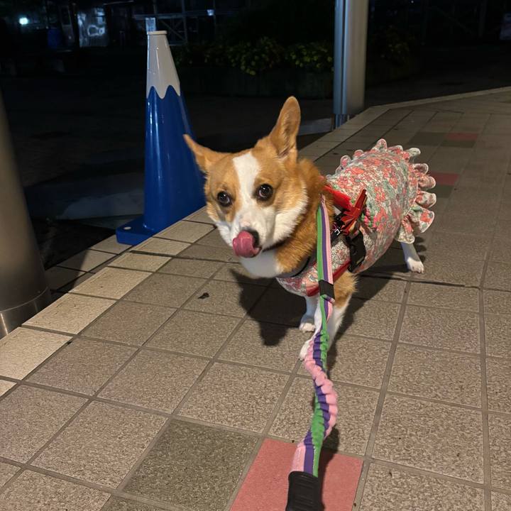 7ce2576f f92d 409e 9dc3 a4097e163c17 1760199064923