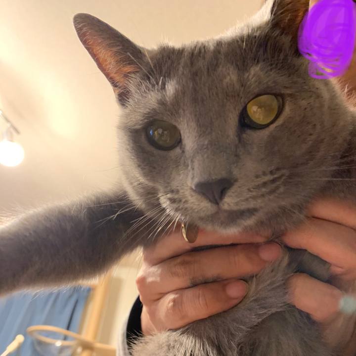 7ce28a9f 1769 4d08 a8a2 ee77d967a830 1622968992687