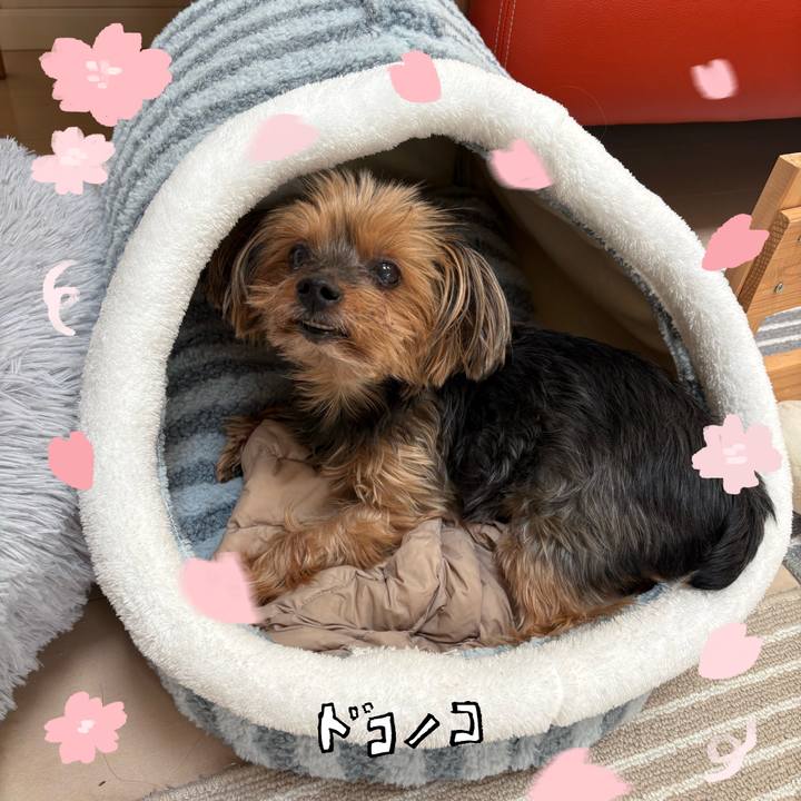 7ce2aceb da2a 4233 9767 8fe966d954ff 1744260642154