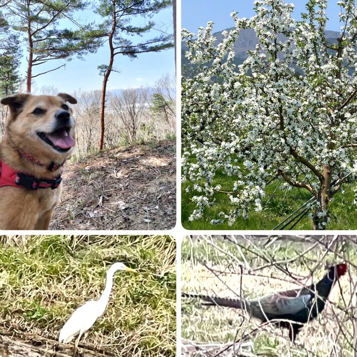 7ce2c1ca 1d15 4a4c 9239 eff6f244d44c 1745756651821