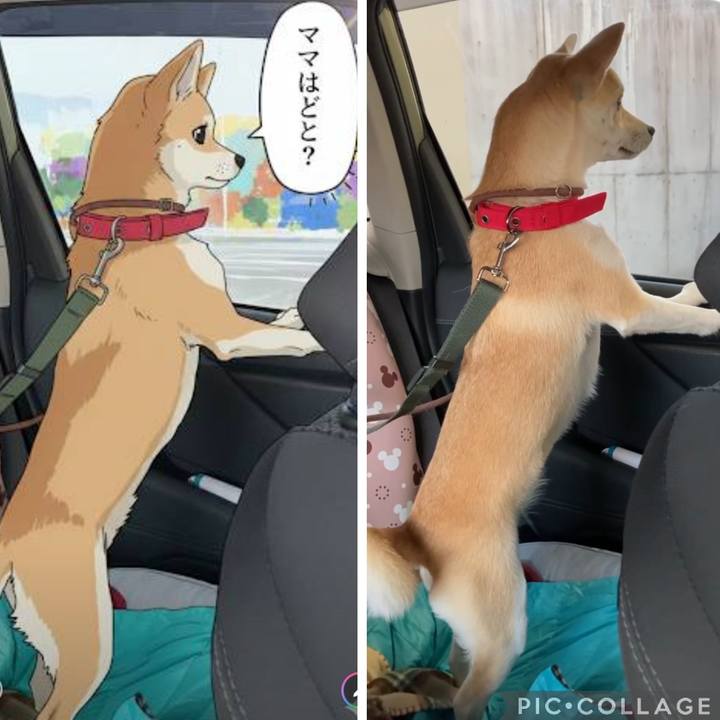 7ce2c775 fb67 4761 866f 0c855064b5b5 1771126536723