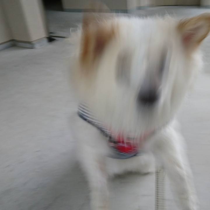 7ce2d0fb c3c0 465a 8c8d c818f31fe568 1523902366480